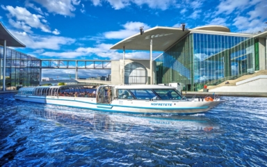 Nofretete_Regierungsviertel_klein_Copyright_Stefan_Maria_Rother_bearbeitet